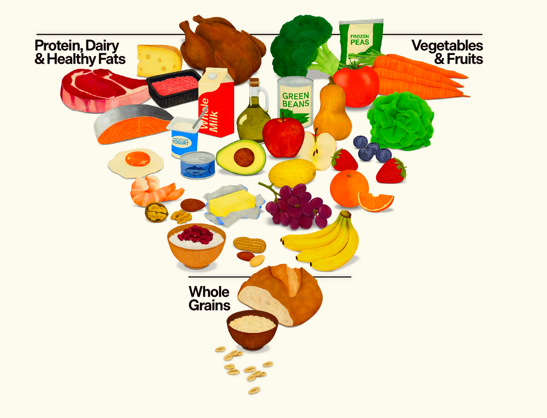 Understanding the New U.S Food Pyramid and Dietary Guidelines