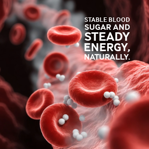 Blood Sugar Regulation Protocol