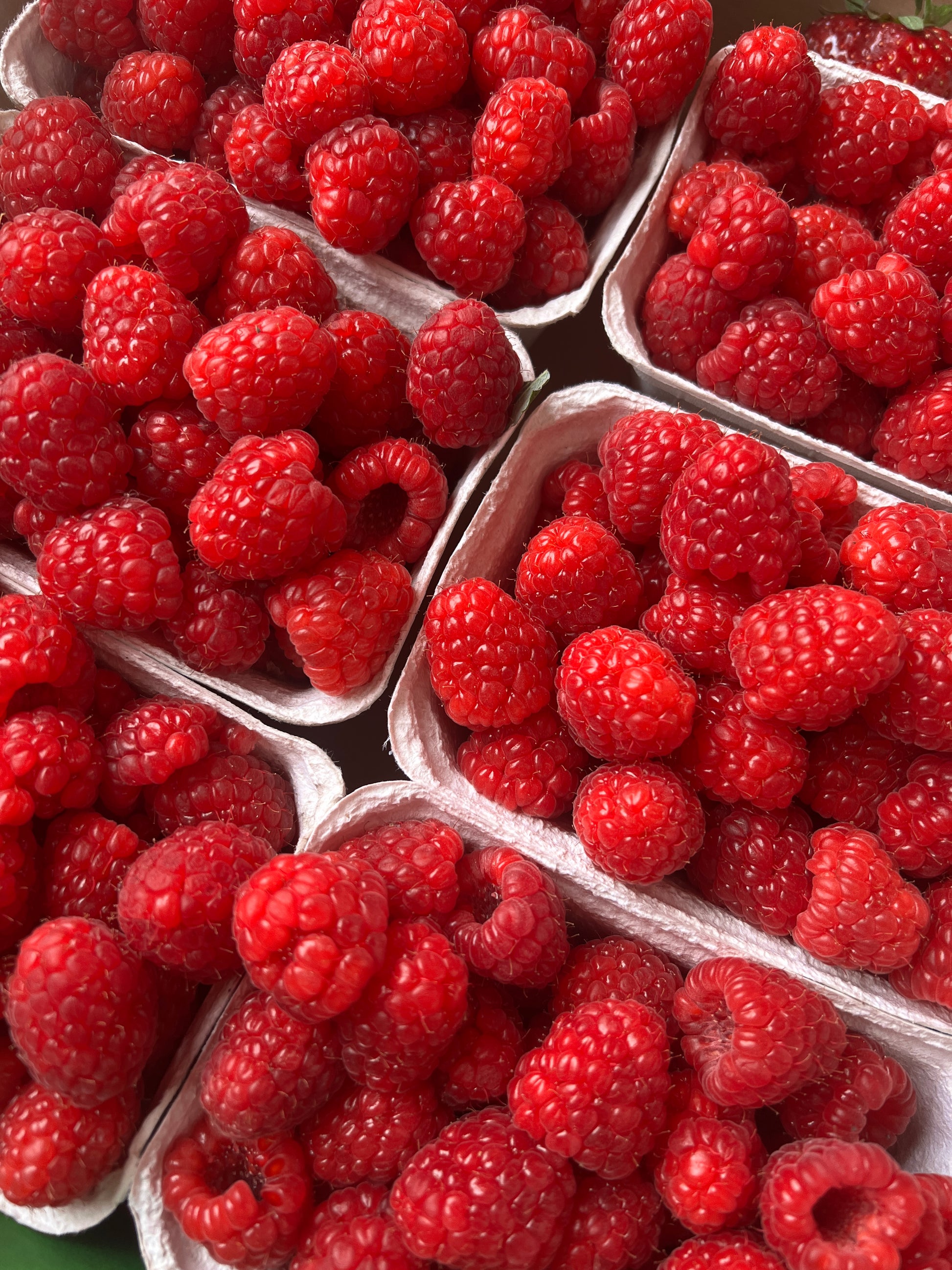 Flexible Care Protocol